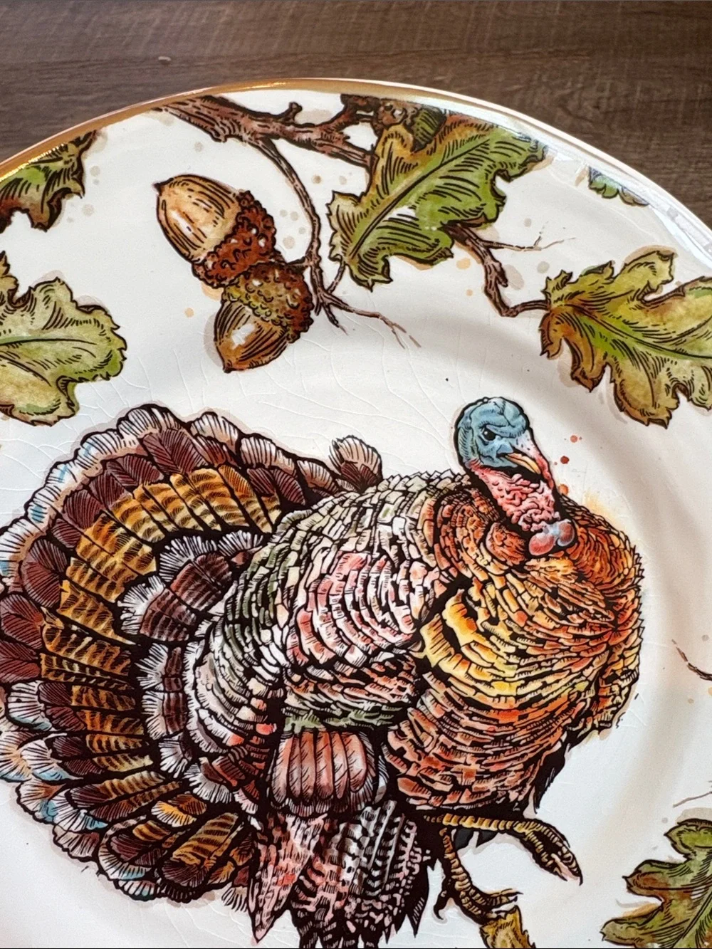 Pier 1 Autumn Oak Turkey Luncheon Salad Plates Earthenware 9